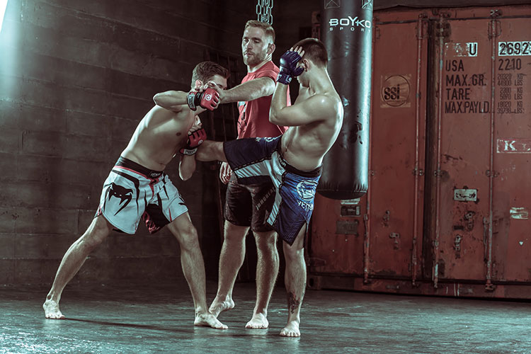 Смешанные единоборства для начинающих