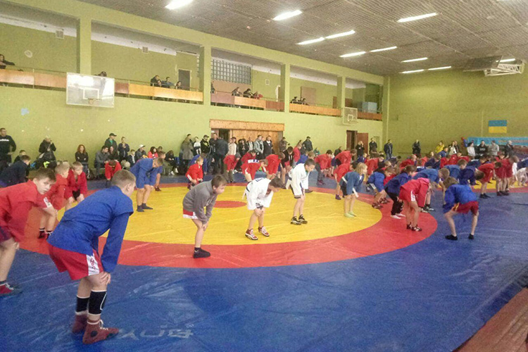 Самбо или дзюдо