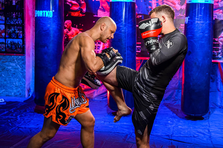 Тренировки по смешанным единоборствам